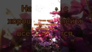 Доброе утро и хорошего дня!