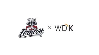 Обзор светодиодных фонарей Wiederkraft от LERATON.RU