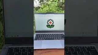 MS Word Flower 🌻 