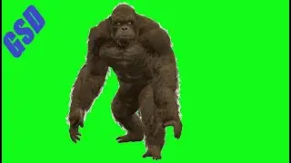 King Kong 2021 Green Screens