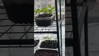 Кажется, весна никогда не наступит! Первое апреля в Петербурге 