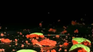 Замедленное падение арбуза Футаж HD