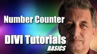 #22 DIVI Theme Tutorial for Beginners -   DIVI Number Counter