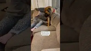 My giant dog wants affection 