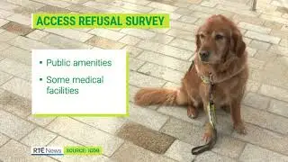 RTE News item,  4 Dec 2023, featuring access rights for Guide Dog and Assistance Dog owners