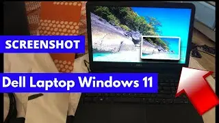 How to Take Screenshot in Dell Laptop Windows 11 | take screenshot in windows 11 laptop / desktop