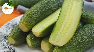 Малосольные Огурцы – Вкусный Холодный Способ чтобы Были Хрустящими