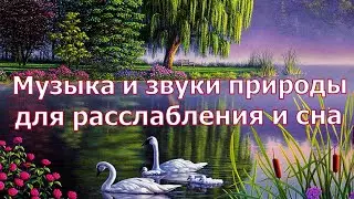 Музыка и Звуки природы для РАССЛАБЛЕНИЯ и СНА