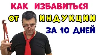 Как Избавиться от Индукционной Плиты за 10 Дней