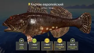 ПРОБУЮ НОВУЮ МОРСКУЮ СБОРКУ В РУССКОЙ РЫБАЛКЕ 4 СТРИМ РОЗЫГРЫШИ РР4