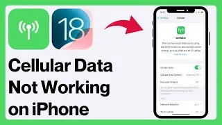 iOS 18: How to FIX Cellular Data Not Working on ANY iPhone! (2024)