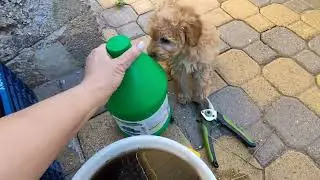 😱САЖЕНЦЫ ПОСЛЕ МЕСЯЦА В ПУТИ. ПОСЫЛКИ КОТОРЫЕ НЕ ЗАБРАЛИ❌