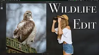 FULL Luminar Neo WILDLIFE Edit!