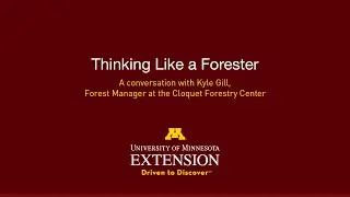 Thinking Like a Forester