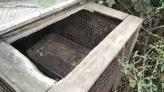 Снова в строй. обзор расширения хозяйства
