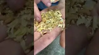 Наживка для рыбалки 