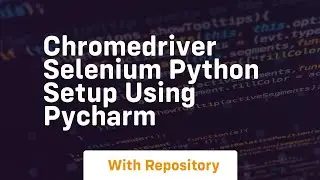 Chromedriver selenium python setup using pycharm