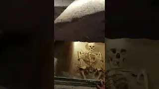 Скелет для ребёнка