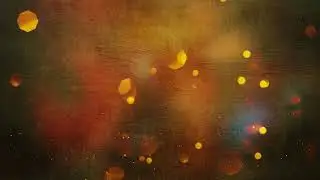 Without text backround | wedding invitation background | motion background