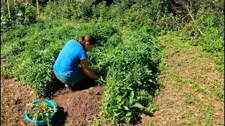 Мы долго работали, чтобы поехать в это путешествие