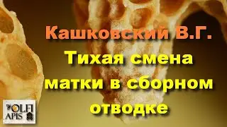 #Кашковский