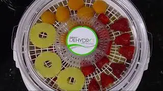 Presto 06300 Dehydro Electric Food Dehydrator, Standard  Sports & Outdoors |Ext Trendin