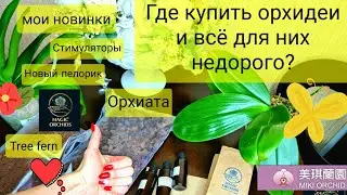 Где купить орхидеи НЕДОРОГО. Новинки. Всё для орхидей: орхиата, Tree fern, стимуляторы роста корней.