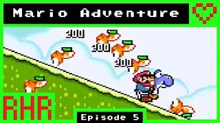 ⑤🍄【