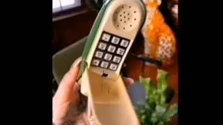 frog phone muhahahhaahaha