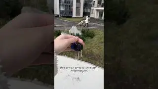 Приемка квартиры, ремонт от застройщика, ошибки в ремонте ) #ошибкиремонта #