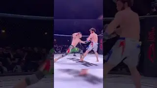 Никархо vs Умар Тесиев! Отрывок с боя 