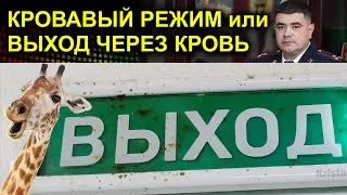 Трейлер КРОВАВЫЙ РЕЖИМ или ВЫХОД ЧЕРЕЗ КРОВЬ 2023.06.19 Сургут