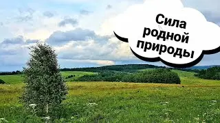 Природа России/ Краски сибирского лета