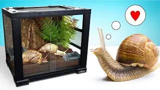 Давайте сделаем улитке потрясающий дом! Кто станет соседом Гэри? 🐌DIY