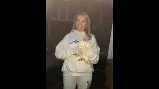 Новые курочки