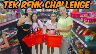 ÖDÜLLÜ TEK RENK KIRTASİYE ALIŞVERİŞİ CHALLENGE 🌈 | EYLÜL LAL