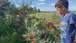 Озеро Мисяш Челябинская область