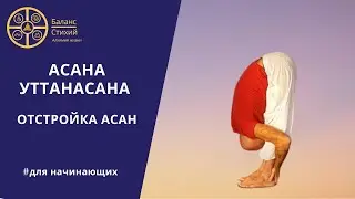 Асана Уттанасана | Отстройка асан | Йога для начинающих