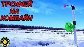 ТРОФЕЙНЫЙ ЛЕЩ! ЗИМНЯЯ РЫБАЛКА НА КОМБАЙНЫ.