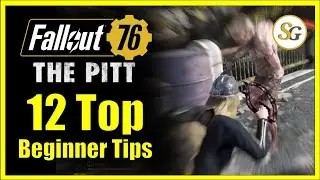 12 Top Beginner tips for 