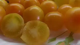 ТОМАТ 