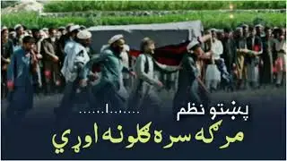 مرگہ سرہ گلونہ وڑی | مرګه سره ګلونه وړى |پښتو نظم | marga sra gulona Ware | Pashto Nazam | TK Studio