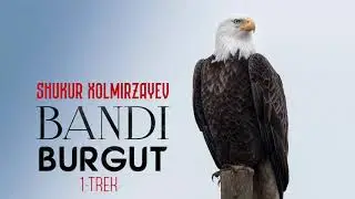 Audio kitob | Bandi burgut 1-qism | Shukur Xolmirzayev