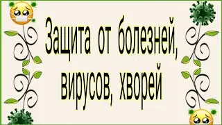 Защита от вирусов, болезней, хвори. Тайна Жрицы.