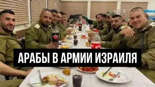 Какая разница между Палестинцами и Дагестанцами ?