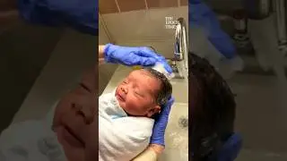 Newborn gets hair shampooed by nurse