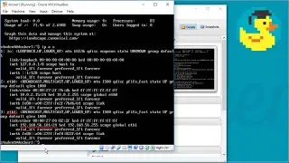 How to install Docker on Ubuntu - Docker tutorial for beginners