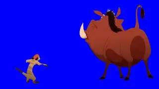 Timon and Pumbaa Blue Screen