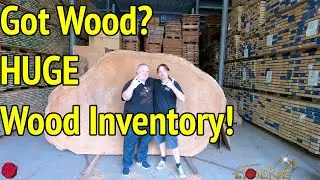 WORLD'S LARGEST WOOD INVENTORY!  AIR DRYING WOOD IN GERMANY!  Framus / Warwick