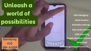 How to enable developer options Samsung A10 SM-A105F